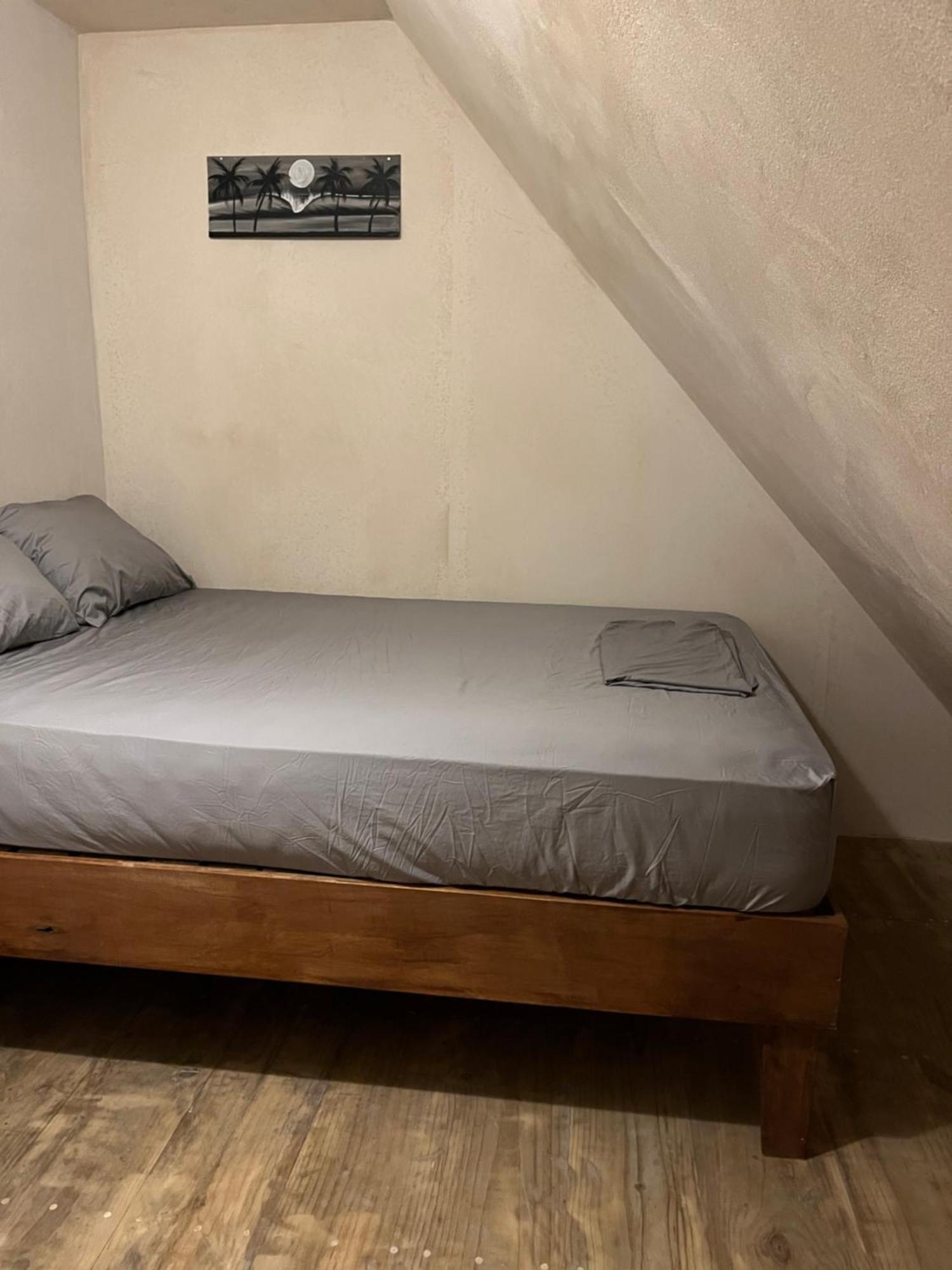 Hostel Tuanis Surf Camp Playa Santa Teresa  Εξωτερικό φωτογραφία